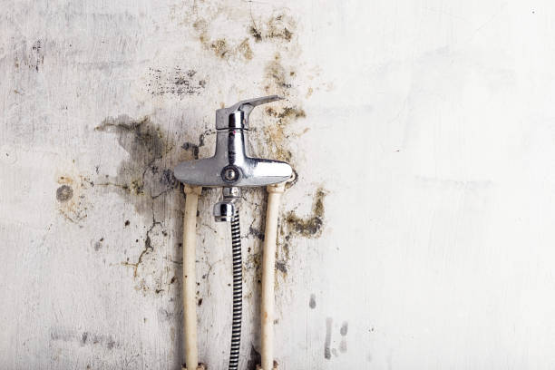 Best Mold Cleaning Services  in Conning Towers Nautilus Park, CT