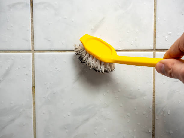 Best Local Mold Removal Service  in Conning Towers Nautilus Park, CT