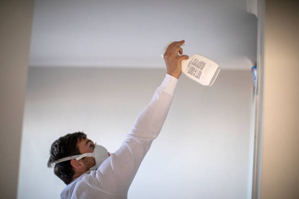 Office Mold Removal Services in Conning Towers Nautilus Park, CT