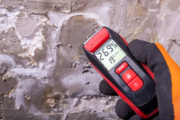 Best Residential Mold Removal  in Conning Towers Nautilus Park, CT