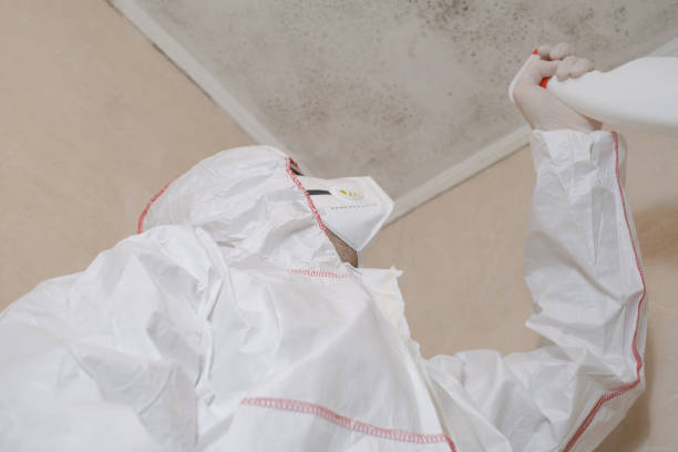 Best Mold Testing  in Conning Towers Nautilus Park, CT